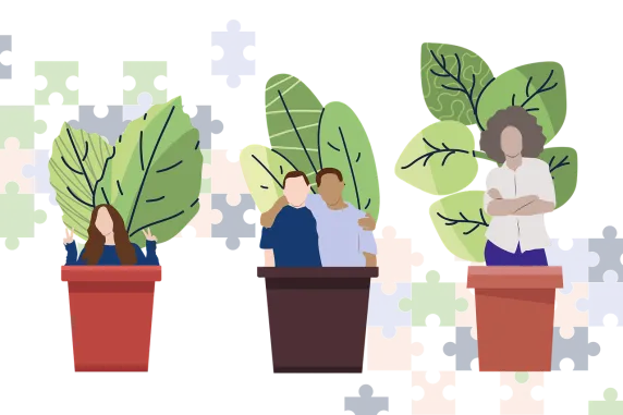 Desarrollo Clariane España 2025