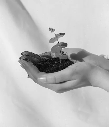 Guía de Prevención del Suicidio